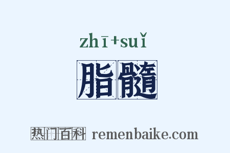 脂髓是什么意思的图片